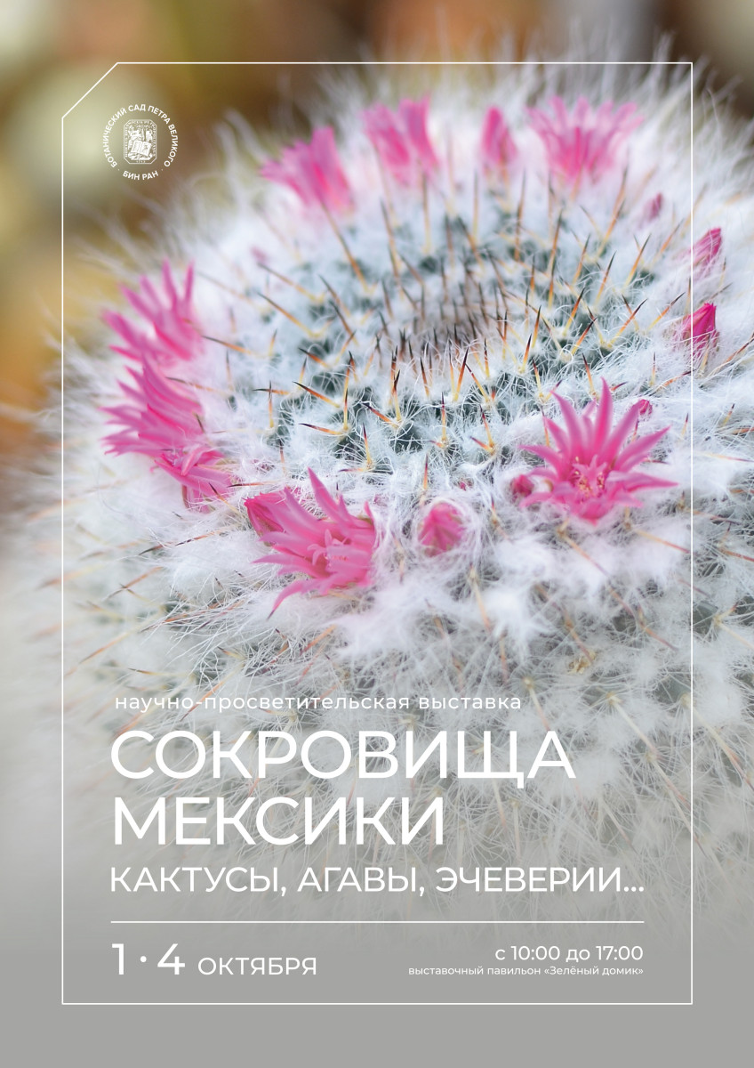Выставка суккулентов 2026