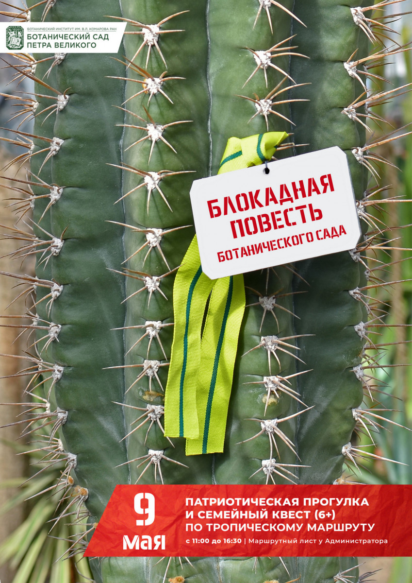 9 мая 2025