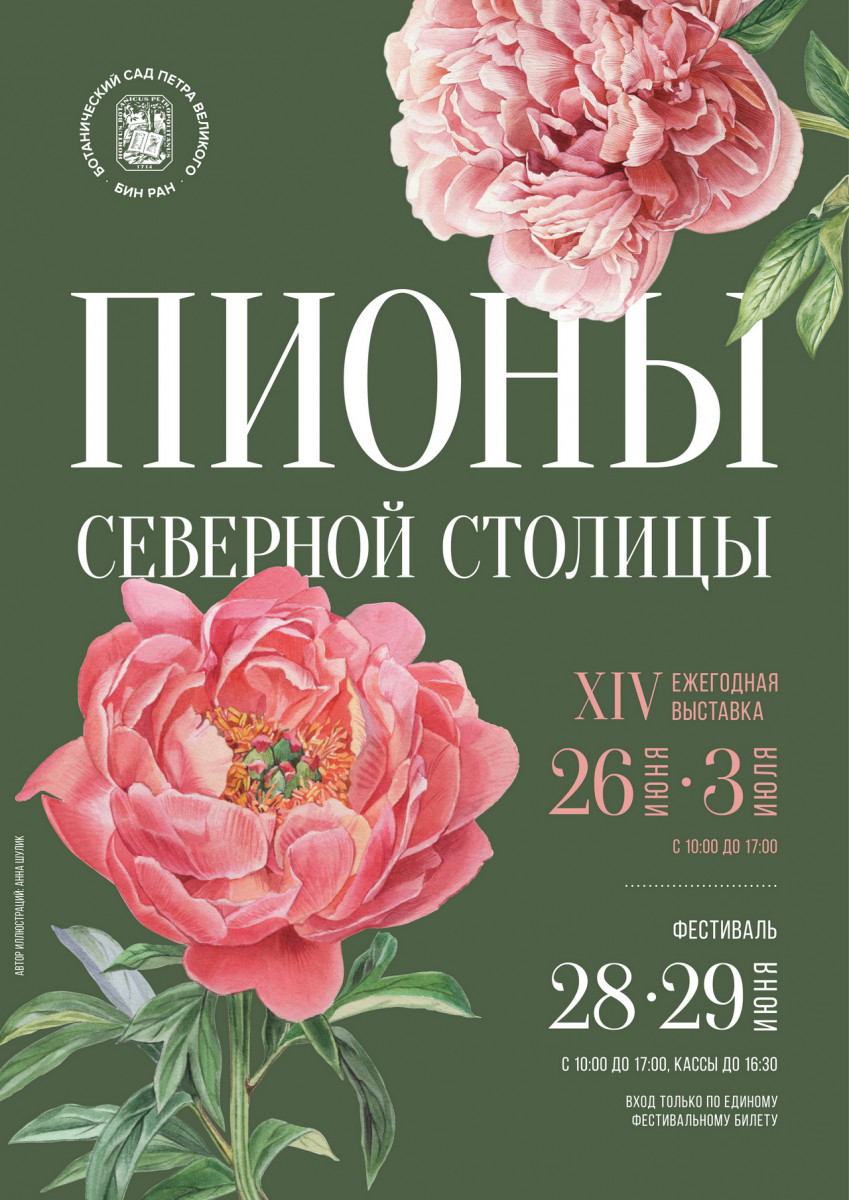 Пионы Северной столицы 2025