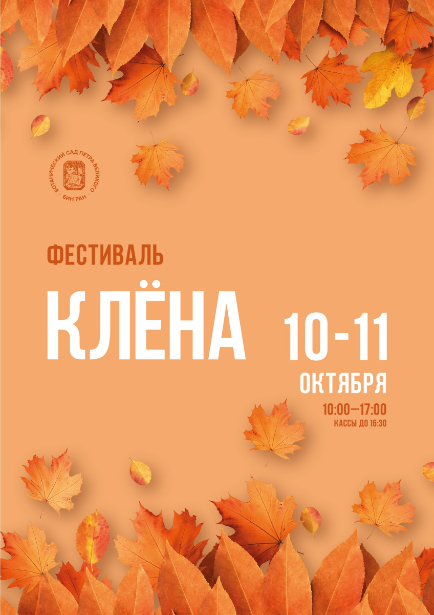 Фестиваль клёна 2026