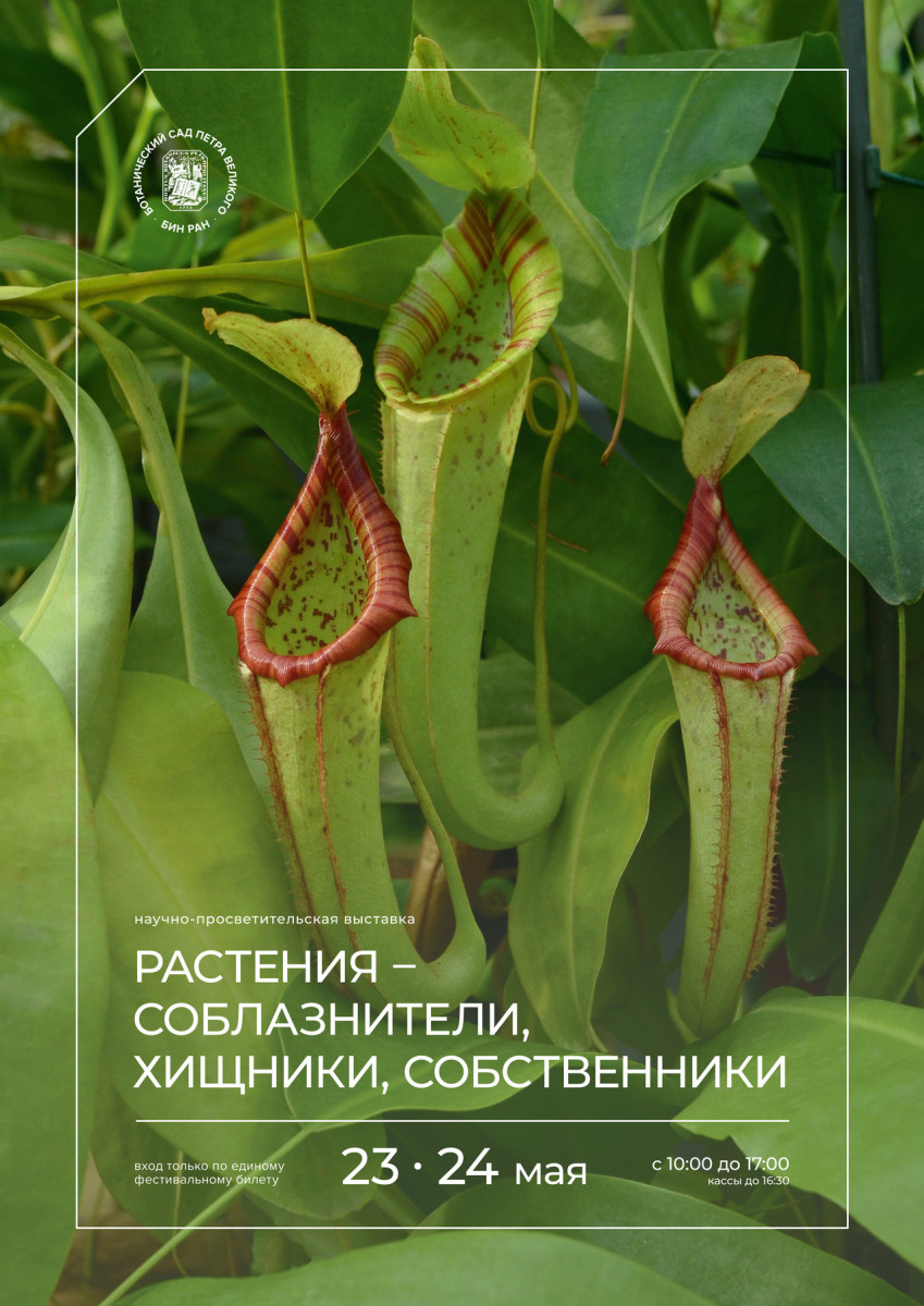 Выставка «Растения — соблазнители, хищники, собственники» 2026