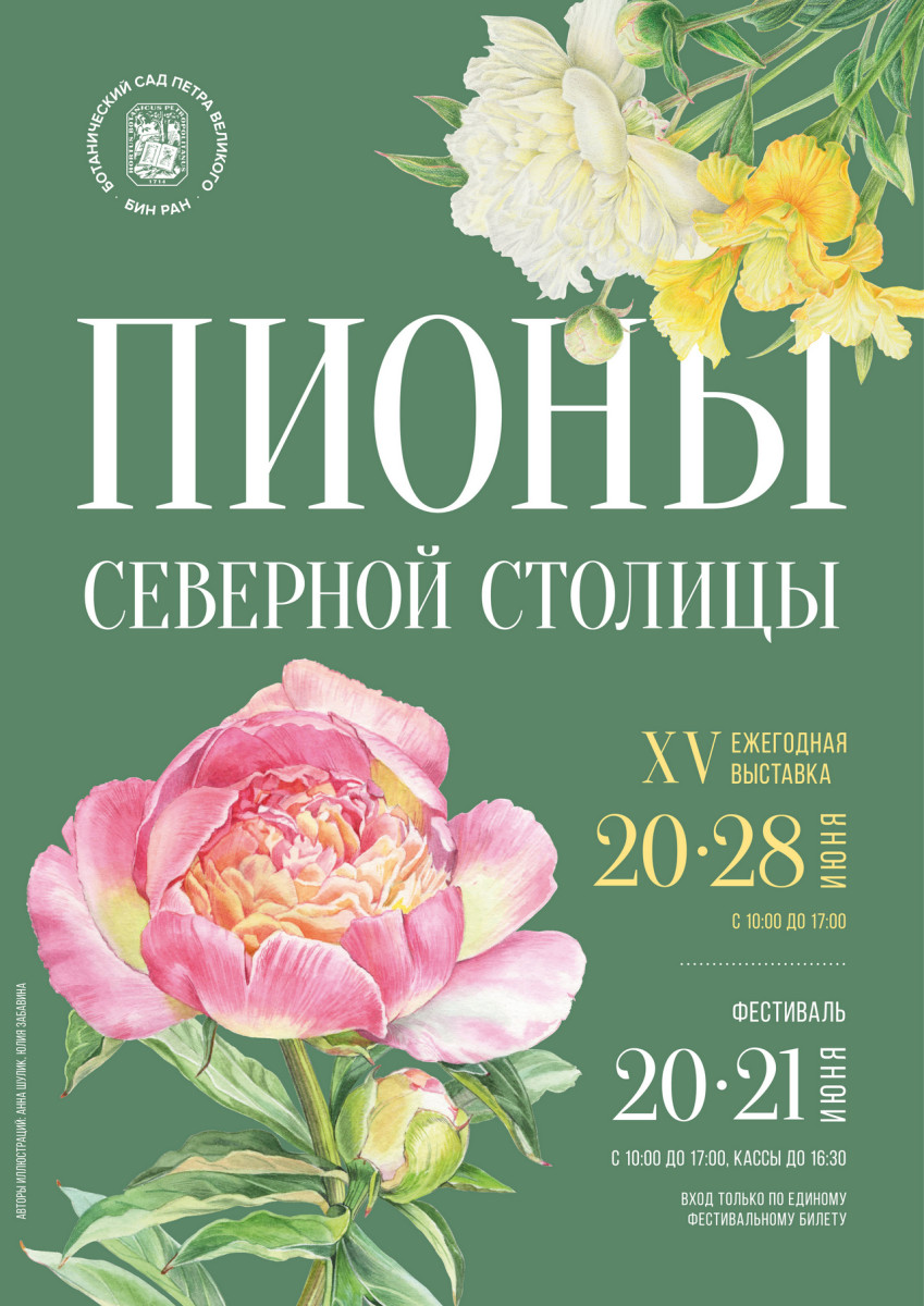 Пионы Северной столицы 2026