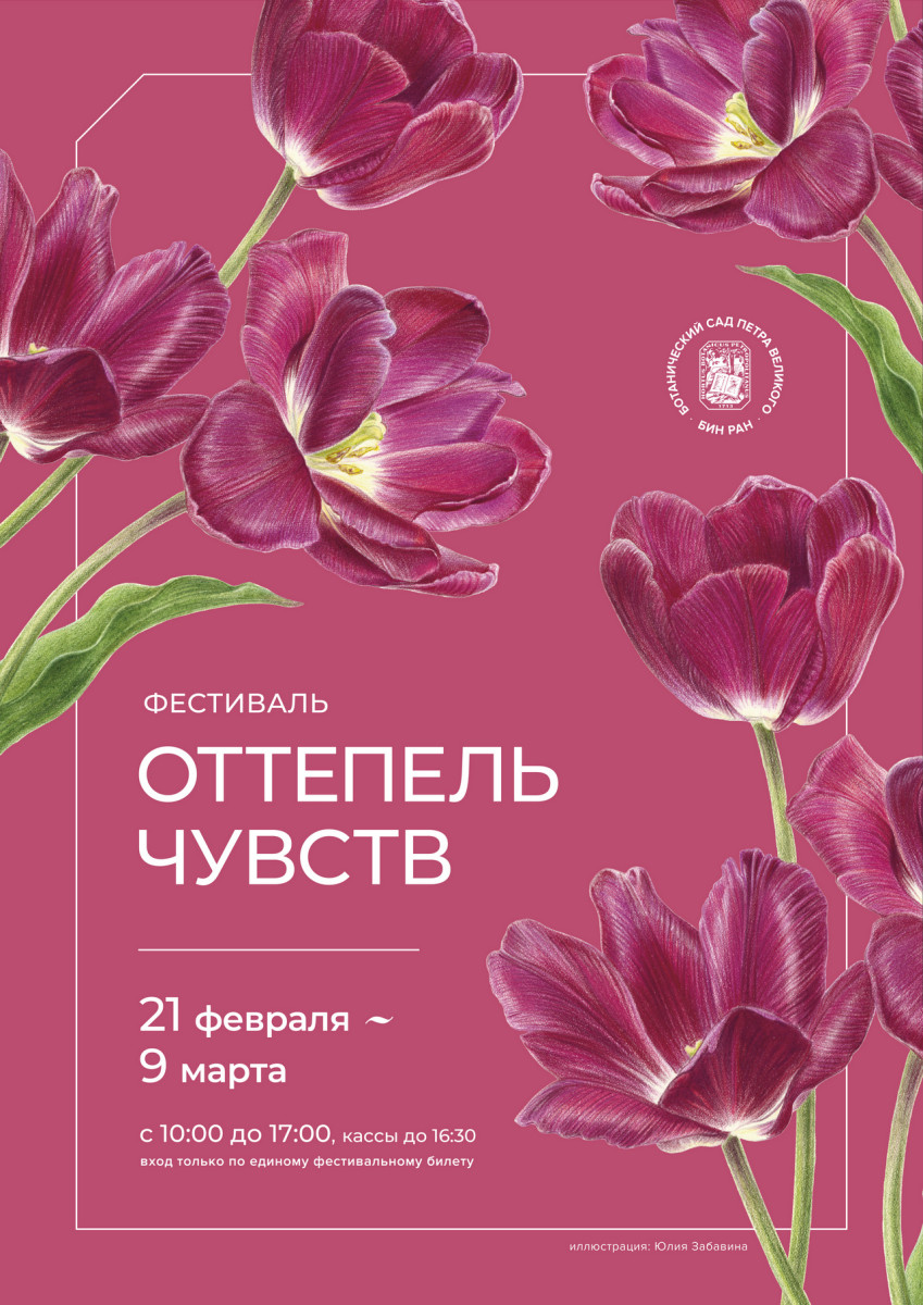 Оттепель чувств 2026