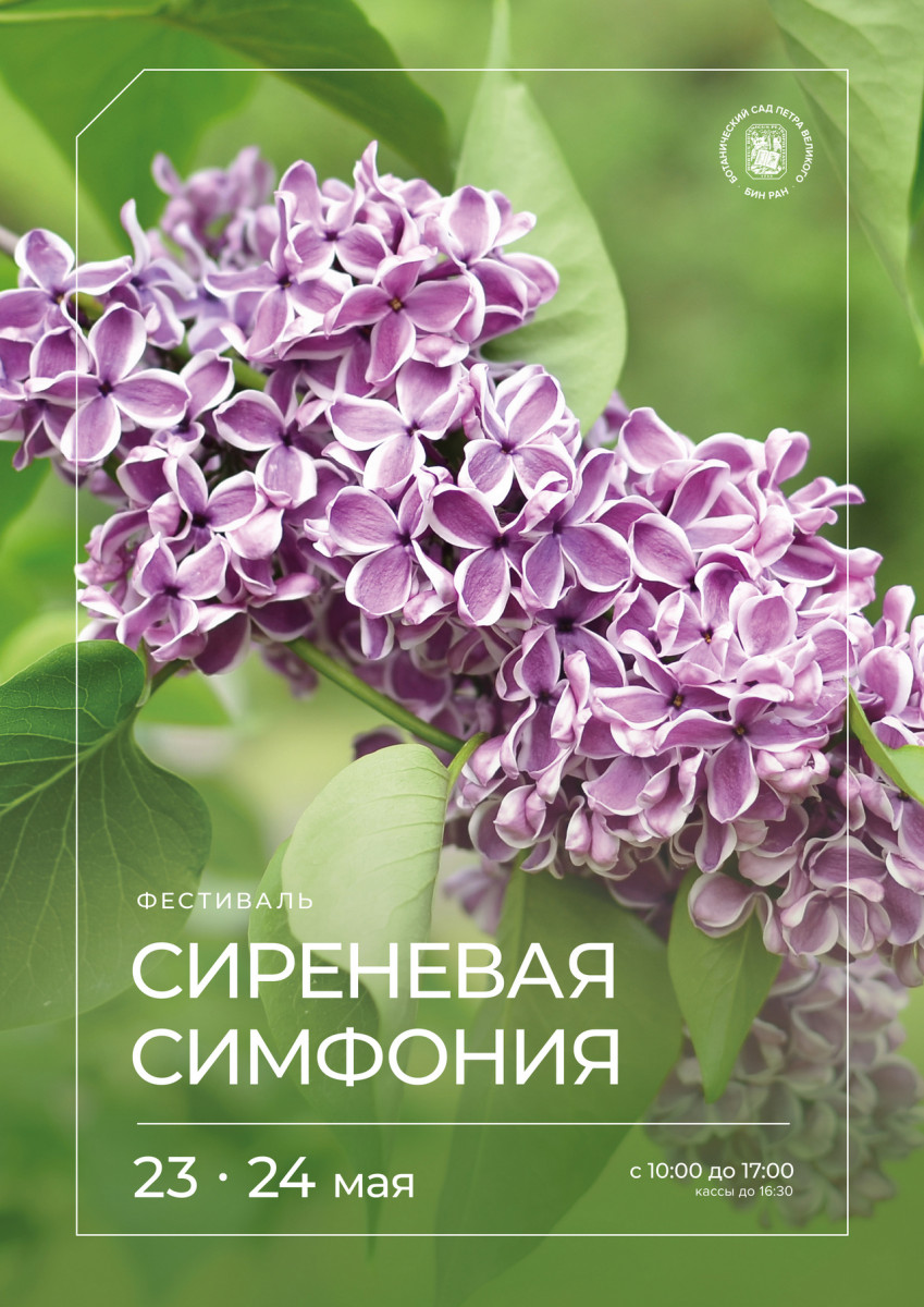 Сиреневая симфония 2026