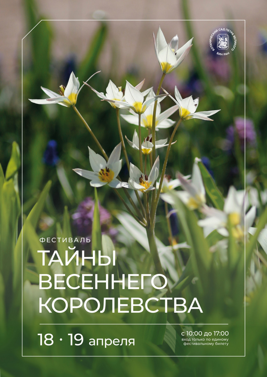 Тайны Весеннего королевства 2026