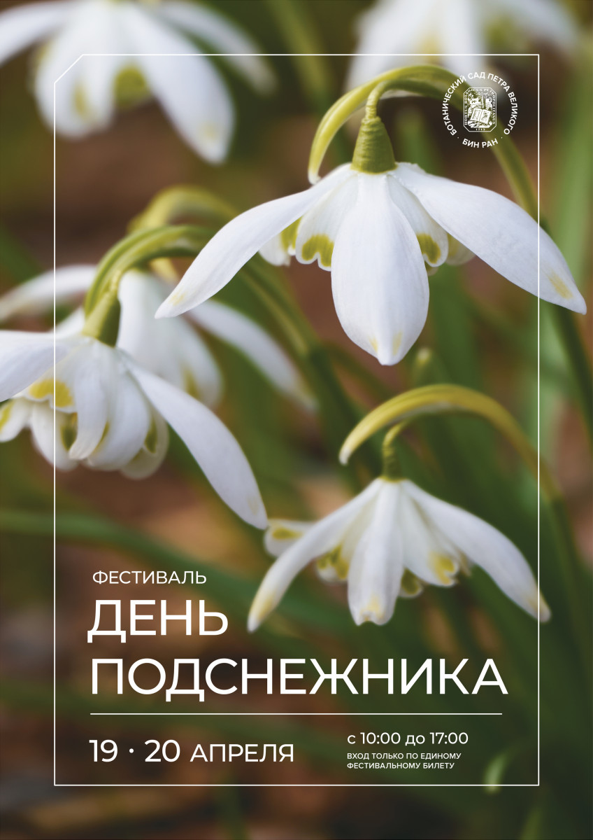 День подснежника 2025